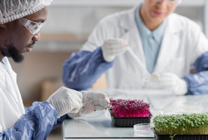 researchers-biotechnology-laboratory-with-plants_23-2148776130